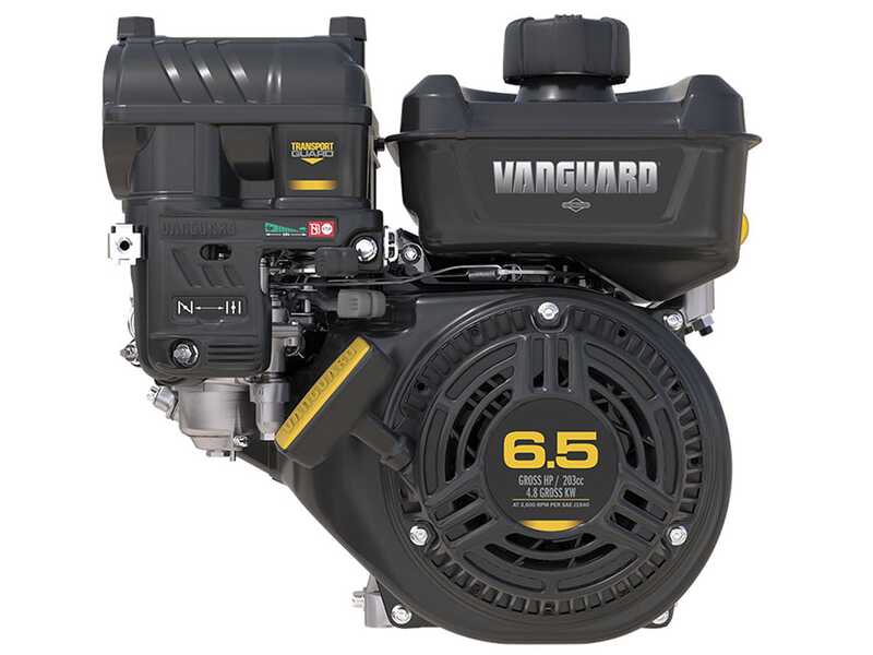 GeoTech-Pro LV650 SPBS Deluxe - Aspirateur Broyeur autotract&eacute; &agrave; vitesses - B&amp;S Vanguard
