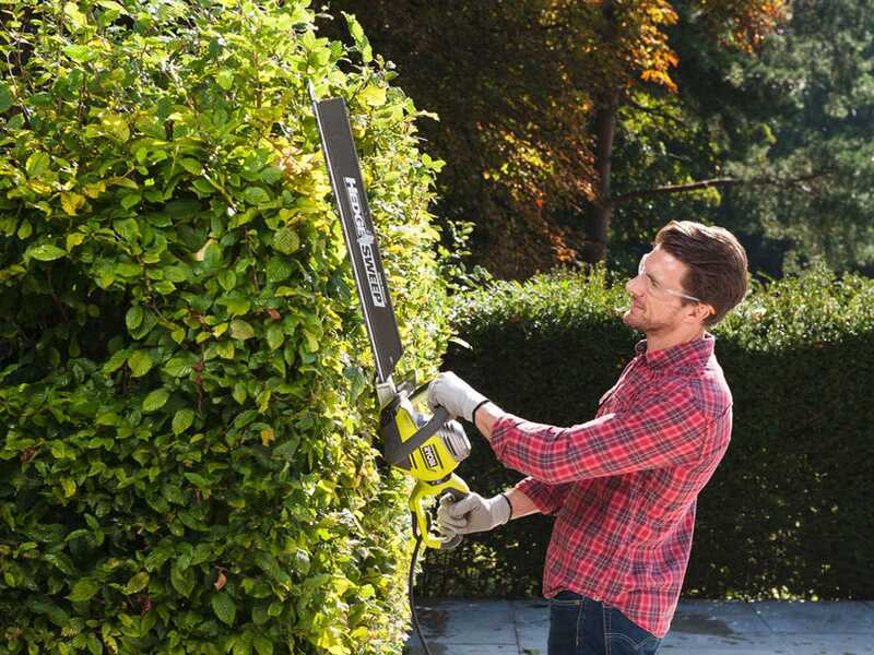 RYOBI RHT8165RL - Taille-haie &eacute;lectrique avec lame de 65 cm - 800W