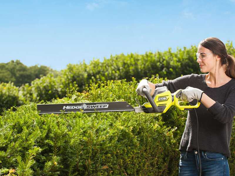 RYOBI RHT8165RL - Taille-haie &eacute;lectrique avec lame de 65 cm - 800W