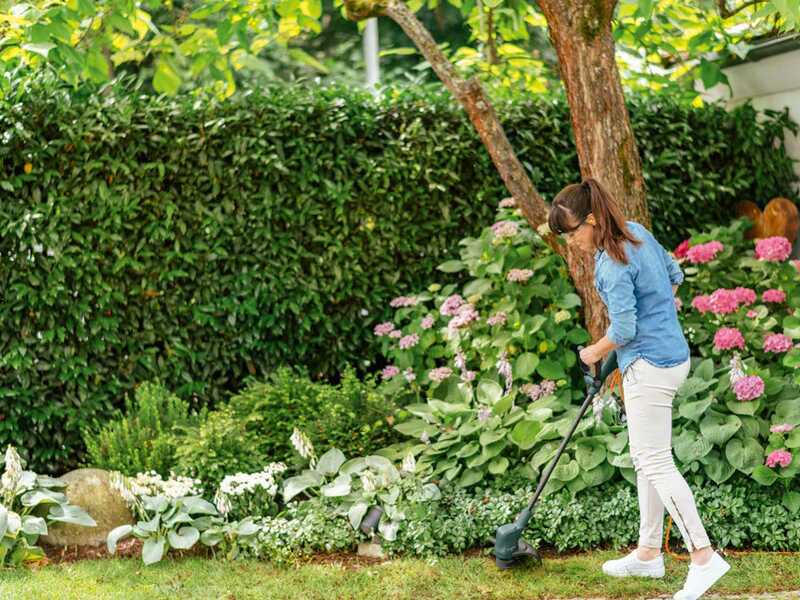 Bosch EasyGrassCut 23 - Coupe-bordure &eacute;lectrique - 280 W