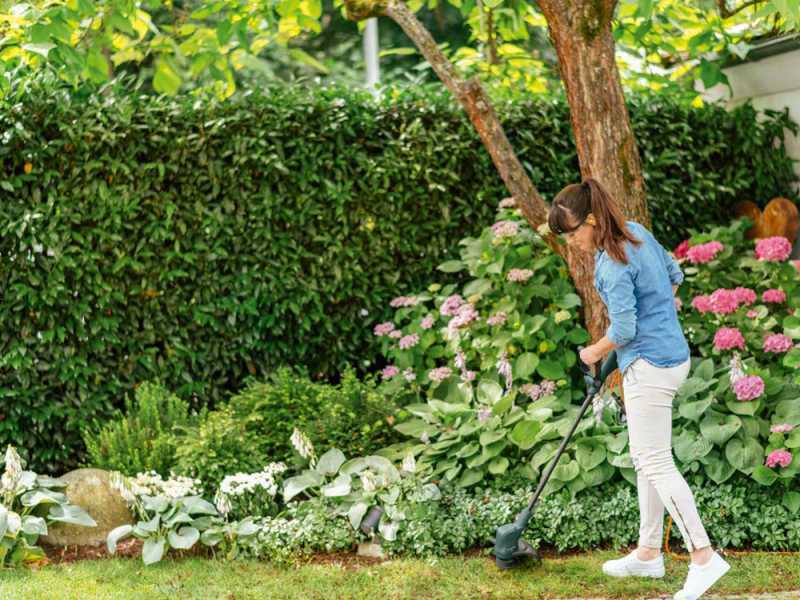 Coupe-bordures &eacute;lectrique Bosch EasyGrassCut 26