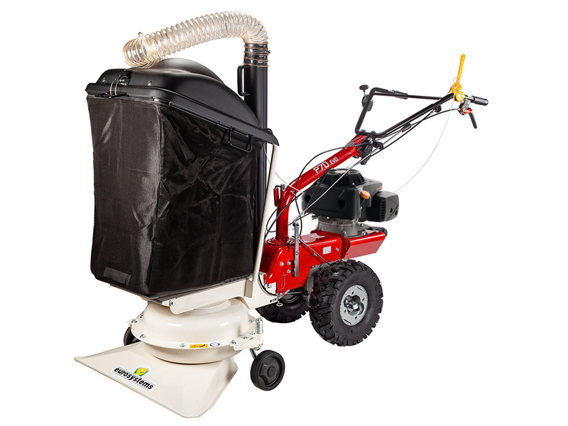 Eurosystems P70 EVO - Aspirateur &agrave; feuilles thermique - Loncin 224 OHV