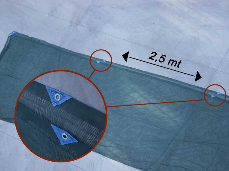 Récolte Des Olives Avec Filet En Méditerranée | Photo Premium