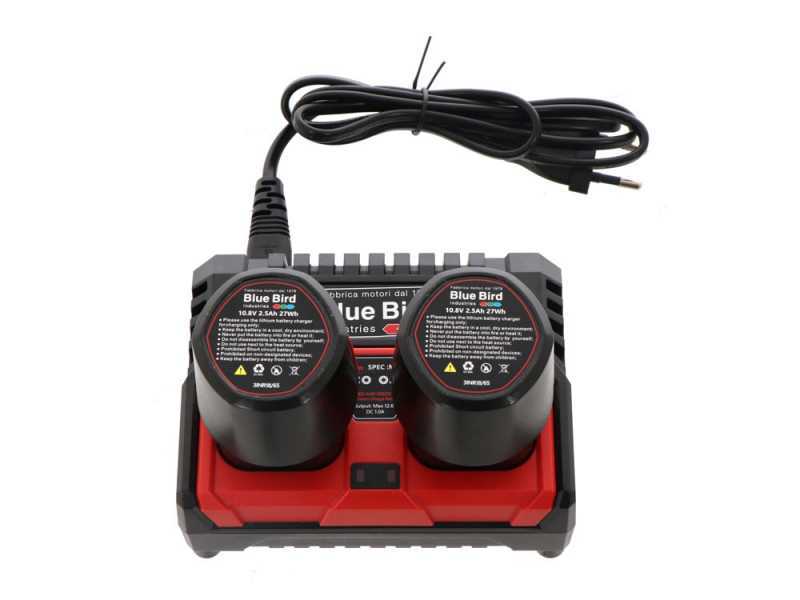 Perche &eacute;lgueuse &agrave; batterie sur perche t&eacute;lescopique Blue Bird PCS 22-06 - 12.6V - 2Ah