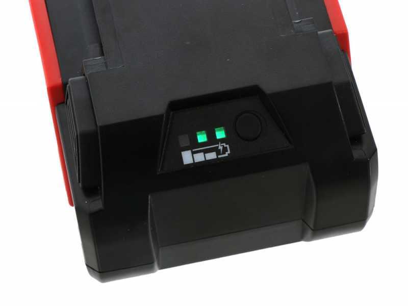 Perche &eacute;lagueuse t&eacute;lescopique &agrave; batterie Blue Bird PCS 22-10 - 21V - 5Ah