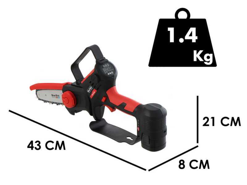 &Eacute;lagueuse sur batterie Blue Bird CS 22-06 - 2 Batteries de 16.8V - 2.5Ah