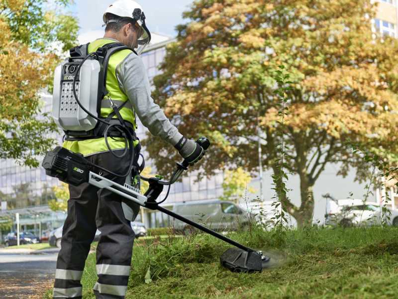 Batterie pour sac &agrave; dos Professional-X EGO - BAX1501