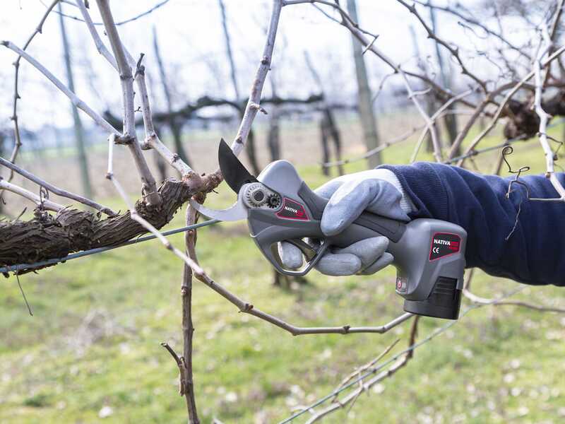 S&eacute;cateur &agrave; batterie de taille Ausonia Nativa Medium - 2 batteries 16.8V - 2.5Ah offertes