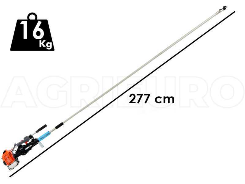 Campagnola GSM Toro Evoluzione K - Perche fixe - 277 cm - Secoueur &agrave; olives thermique &agrave; crochet