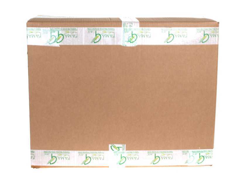 P&eacute;trin &agrave; spirale Famag Grilletta IM 6 S - T&ecirc;te basculante - Capacit&eacute; cuve 6 Kg 11 litres