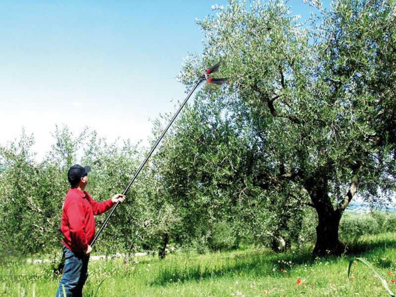 Lisam V8 Turbo - Peigne vibreur pneumatique  - secoueur &agrave; olives 6 bars - 1800 battements par minute