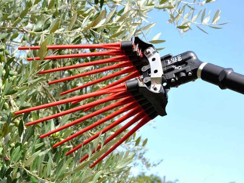Lisam V8 Evo - Peigne vibreur pneumatique  -secoueur &agrave; olives 6 bars - 1900 battements par minute