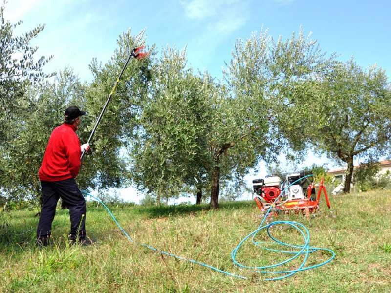 Lisam V8 Evo - Peigne vibreur pneumatique  -secoueur &agrave; olives 6 bars - 1900 battements par minute