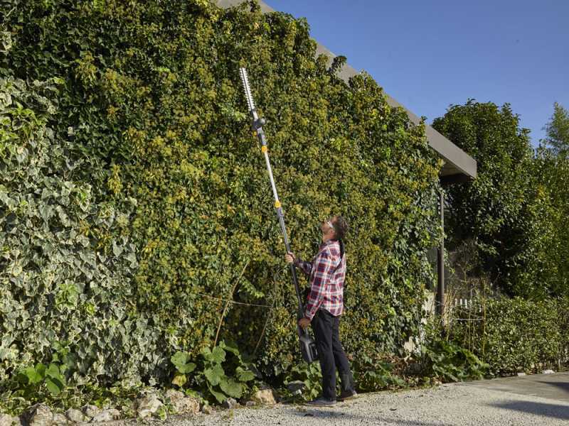 ALPINA AMT48Li kit - Taille-haie et perche &eacute;lagueuse sur perche multifonction - Batterie de 48V 2Ah