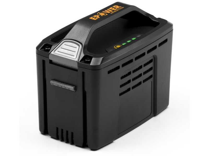 Taille-haies et perche &eacute;lagueuse multifonctions ALPINA AMT48Li kit - Batterie de 48V 2Ah