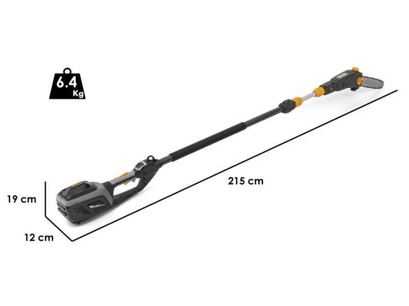 Taille-haies et perche &eacute;lagueuse multifonctions ALPINA AMT48Li kit - Batterie de 48V 2Ah