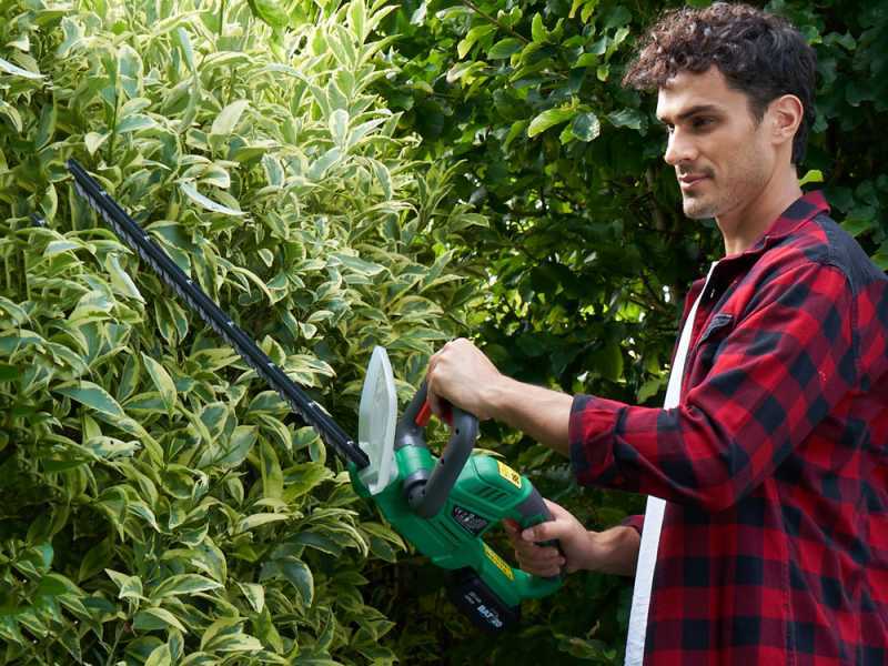 RIBIMEX PRBAT20-TH - Taille-haie &eacute;lectrique &agrave; batterie 20V/2Ah - Lame de 52 cm