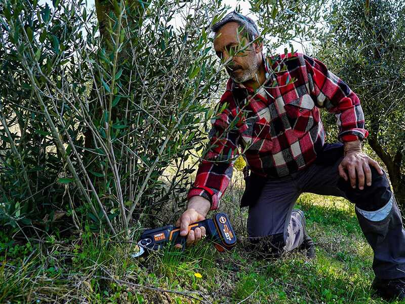 Worx NITRO WG330E - S&eacute;cateur de taille &agrave; batterie - 20V2Ah