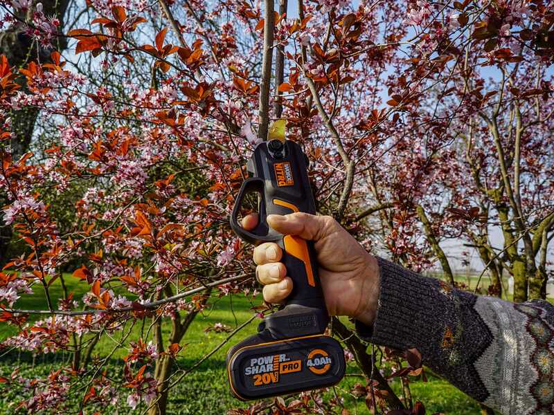 Worx NITRO WG330E - S&eacute;cateur de taille &agrave; batterie - 20V2Ah - Diam&egrave;tre de coupe 25 mm
