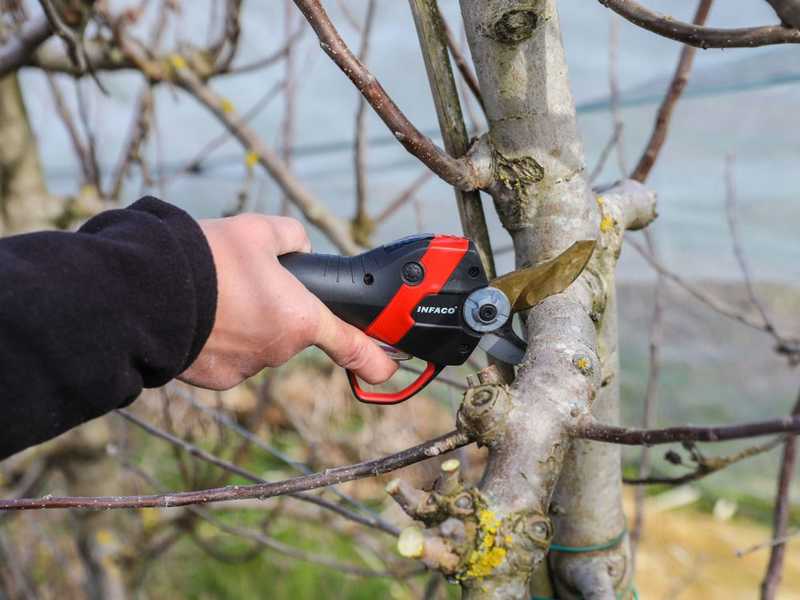 S&eacute;cateur &eacute;lectrique de taille Infaco F3020 - Kit standard &Oslash; 40 mm pour vergers et vignes