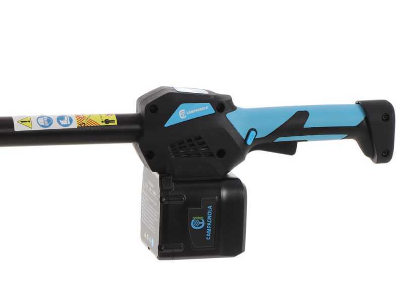 Perche &eacute;lagueuse &eacute;lectrique &agrave; batterie Campagnola T-REX 160 - 240 sur perche  - Batterie de 21,6 V 5 Ah