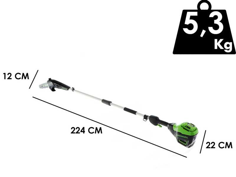 Perche &eacute;lagueuse &agrave; batterie Greenworks GD60PS25 60V - Batterie 2 Ah