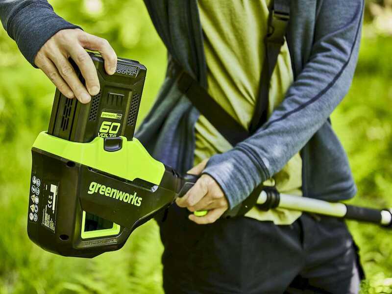 Perche &eacute;lagueuse &agrave; batterie Greenworks GD60PS25 60V - Batterie 2 Ah