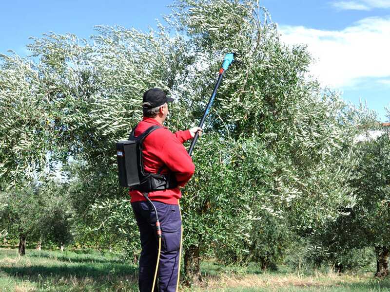 Lisam Oliveco - Peigne vibreur &eacute;lectrique &agrave; batterie - Avec dents en Nylon  - 230-330 cm - Perche t&eacute;lescopique