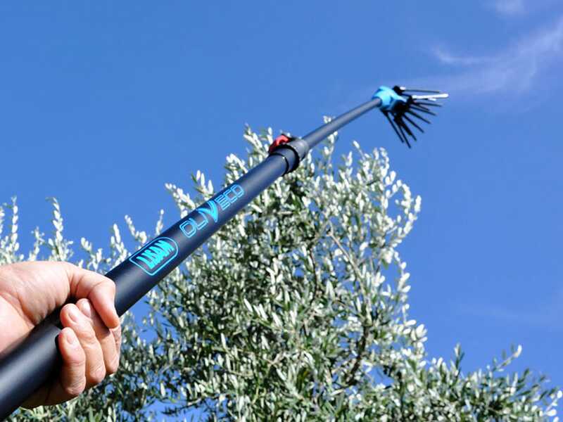 Lisam Oliveco - Peigne vibreur &eacute;lectrique &agrave; batterie - Avec dents en Nylon  - 230-330 cm - Perche t&eacute;lescopique