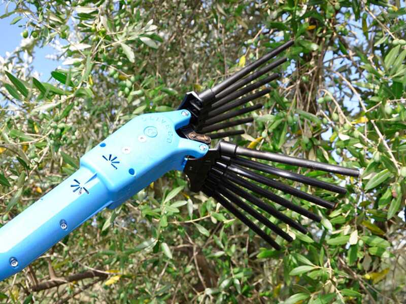 Lisam Oliveco - Peigne vibreur &eacute;lectrique &agrave; batterie - Avec dents en Nylon  - 230-330 cm - Perche t&eacute;lescopique