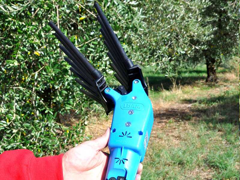 Lisam Oliveco - Peigne vibreur &eacute;lectrique &agrave; batterie - Avec dents en Nylon  - 230-330 cm - Perche t&eacute;lescopique