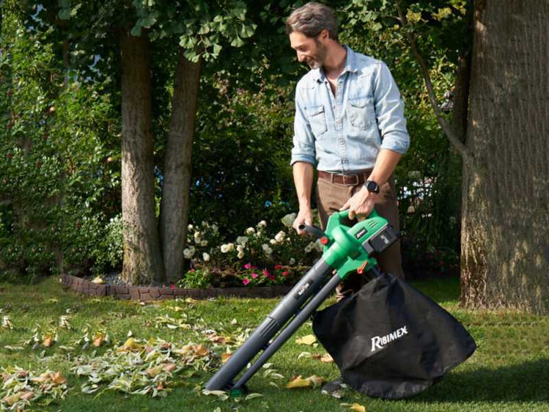 Ribimex PRBAT20-ASBSB - Souffleur aspirateur de feuilles &agrave; batterie 40 V 4 Ah 
