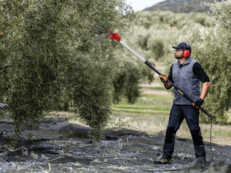 Peigne vibreur &eacute;lectrique &agrave; batterie Zanon Olivar Electric AL 300 - Perche t&eacute;lescopique en aluminium 210 - 340 cm