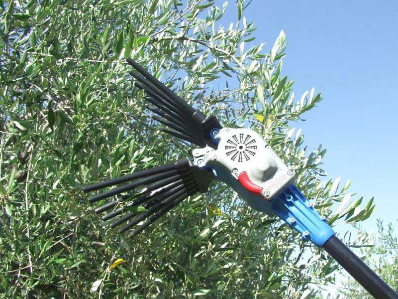 Peigne vibreur &eacute;lectrique &agrave; batterie Lisam Oliwatt 2  - Avec dents en Nylon - 280 cm - Perche Fixe