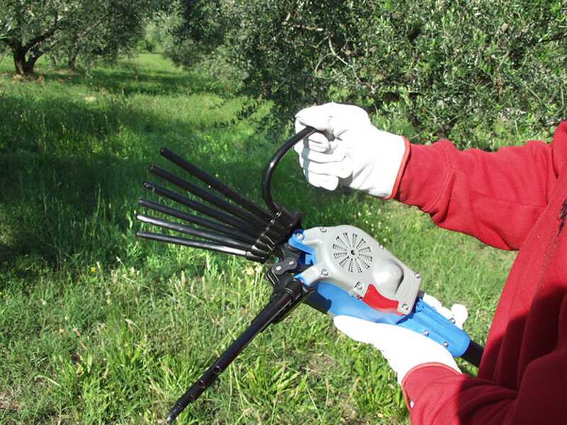 Peigne vibreur &eacute;lectrique &agrave; batterie Lisam Oliwatt 2  - Avec dents en Nylon - 280 cm - Perche Fixe