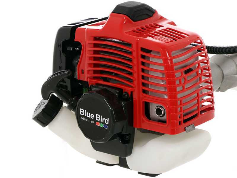 Perche &eacute;lagueuse t&eacute;lescopique BlueBird PTT261