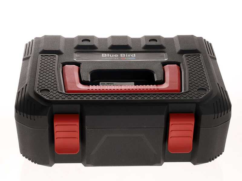 S&eacute;cateur &eacute;lectrique &agrave; batterie sur perche de rallonge BlueBird PS 22-38 - 21.6V - 2.5 ah