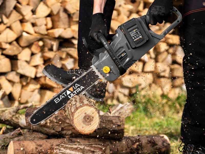 Batavia - Tron&ccedil;onneuse d&agrave; batterie - 2 x 18 V - SANS BATTERIE NI CHARGEUR