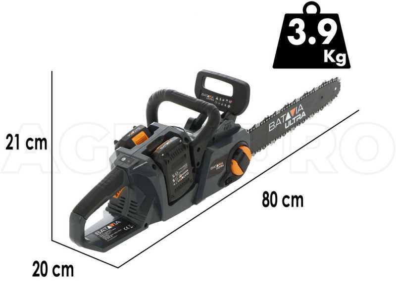 Batavia - Tron&ccedil;onneuse d&agrave; batterie - 2 x 18 V - SANS BATTERIE NI CHARGEUR