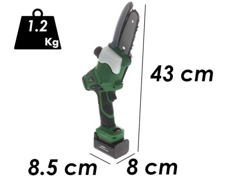 GreenBay TopSaw 5C - &Eacute;lagueuse &agrave; batterie sur perche - 2 batteries de 16,8 V - 2 Ah