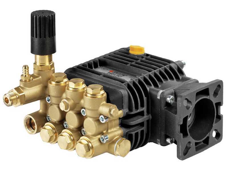 Nettoyeur haute pression thermique  AgriEuro Top-Line BWD-K 11/200 - Moteur Honda GX200
