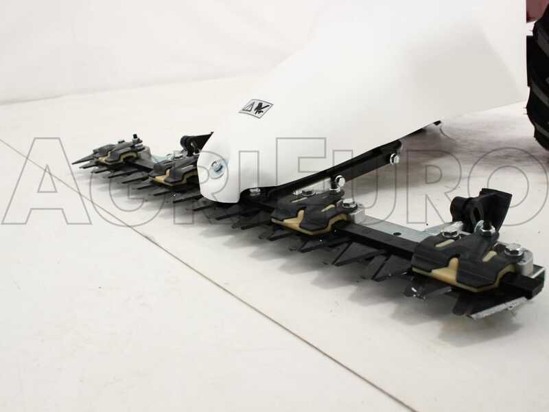 Eurosystems M210 - Motofaucheuse bilame - B&amp;S 450E