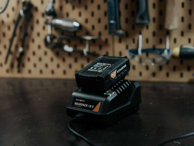 &Eacute;lagueuse sur batterie Batavia NEXXSAW V3.1 - 18V 2AH