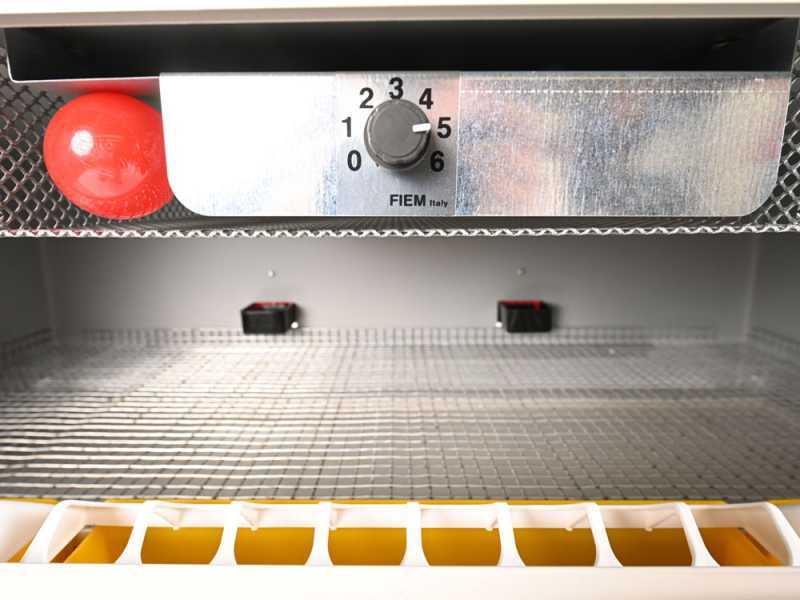 Couveuse &Eacute;leveuse artificielle FIEM SV70