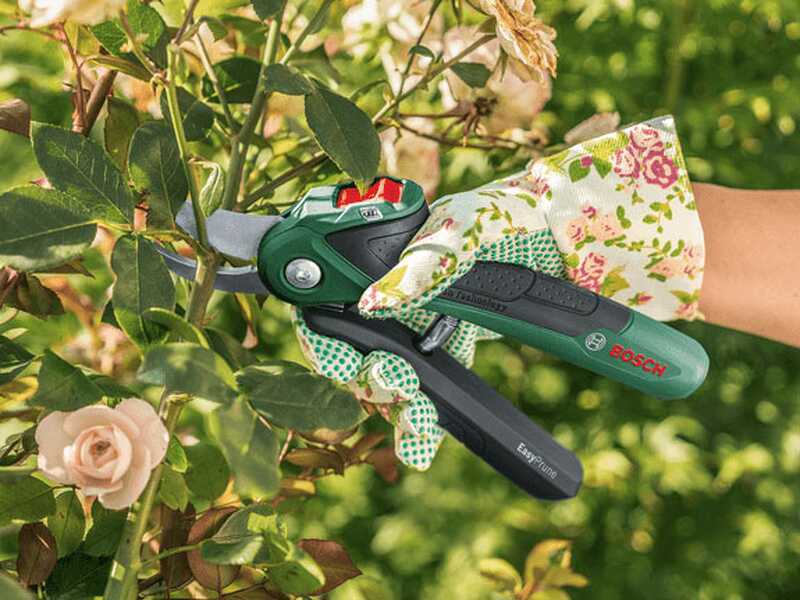 Bosch EasyPrune AssistCut - S&eacute;cateur &eacute;lectrique de taille - 3.6V 1.6Ah - Diam&egrave;tre de coupe 25 mm