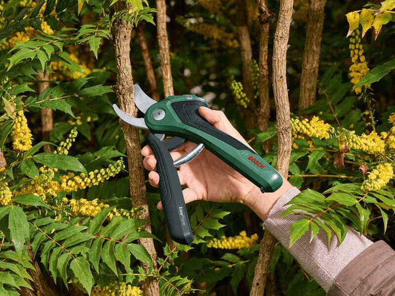 Bosch EasyPrune AssistCut - S&eacute;cateur &eacute;lectrique de taille - 3.6V 1.6Ah - Diam&egrave;tre de coupe 25 mm