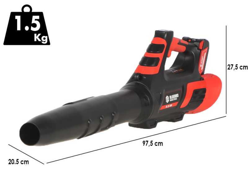 Blue Bird BL 22-300 - Souffleur &agrave; batterie  - 21 V 5 Ah