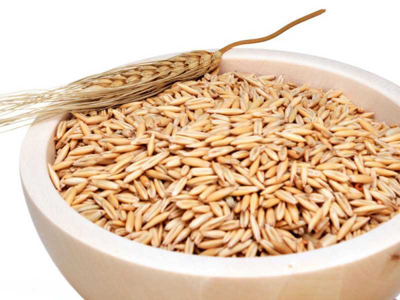 Komo HAND MILL - Moulin &agrave; farine manuel en &eacute;rable massif avec meules en pierre