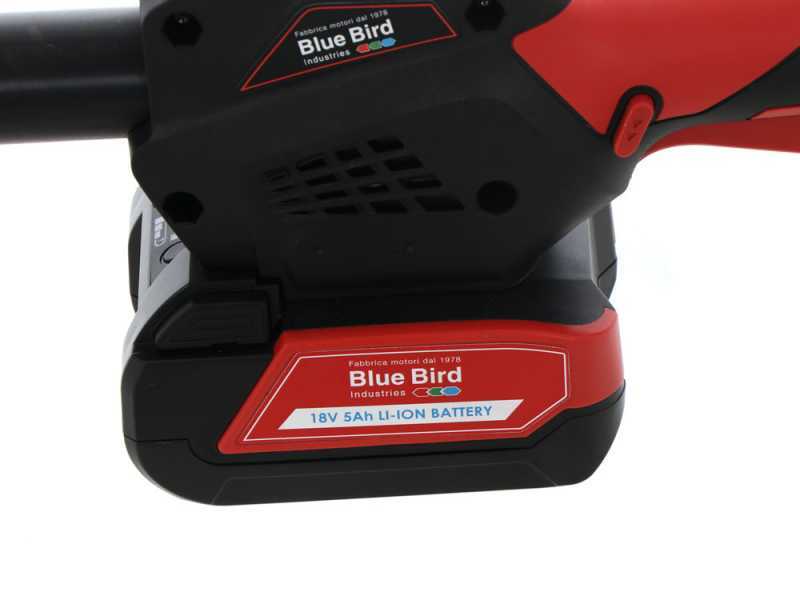 Blue Bird PCS 22-10 - &Eacute;lagueuse t&eacute;lescopique &agrave; batterie - 2x 21V 5 Ah