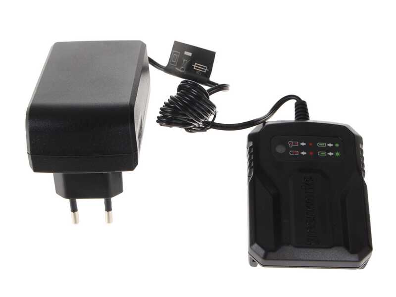 Greenworks GD48MCS10XK2 - &Eacute;lagueuse manuelle &agrave; batterie - Moteur sans balai  - 48V 2Ah